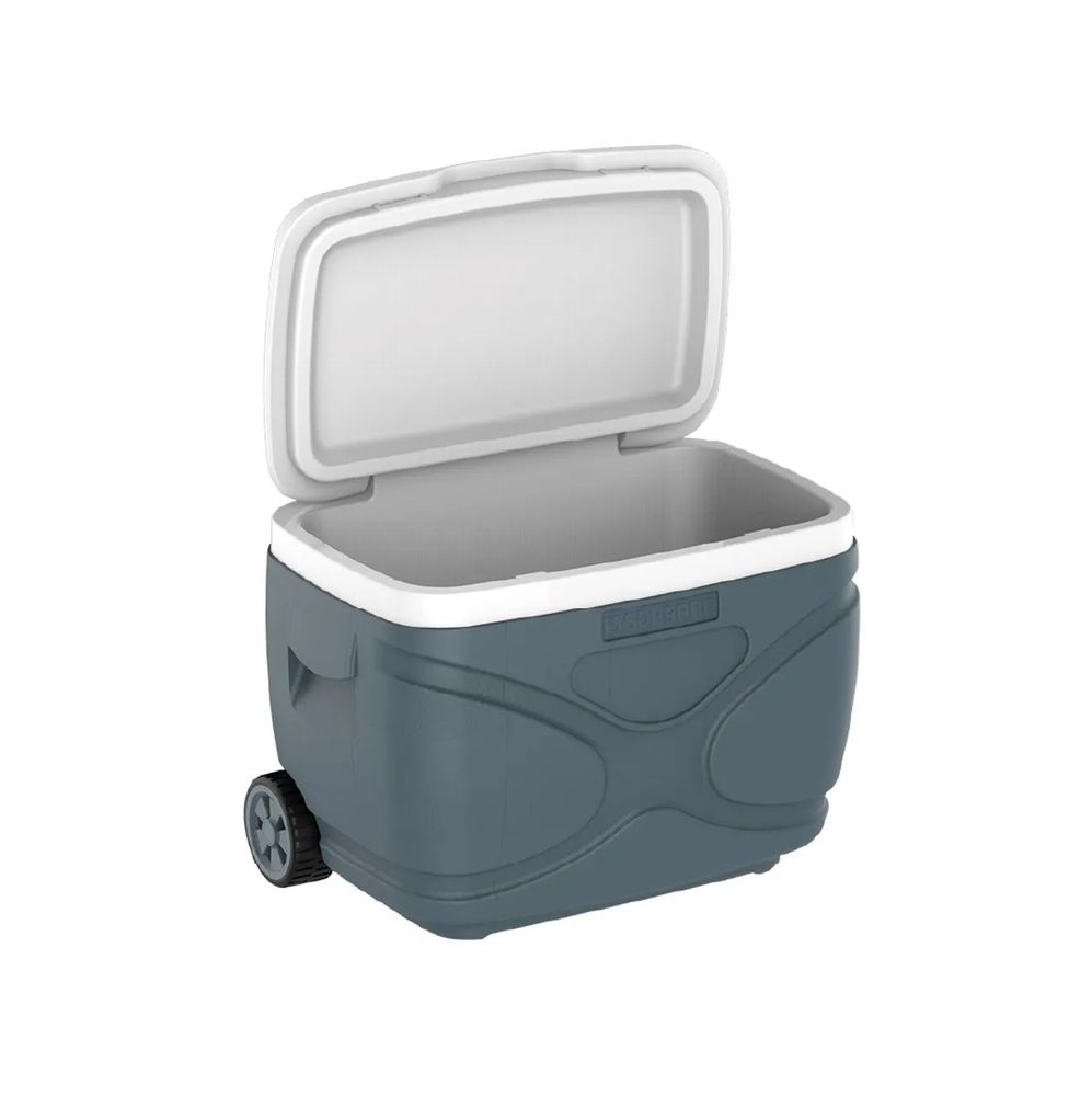 Caixa Térmica Everest 30 Litros Cinza