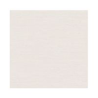 Porcelanato A 120X120 Elon Light Acetinado Caixa com 2,86m²