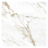 Porcelanato A 120x120 Marmo Perla Velvet Caixa com 2,88m²
