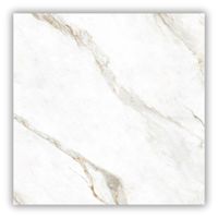 Porcelanato A 120x120 Marmo Perla Polido Caixa com 2,88m²