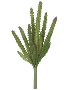 Suculenta Cacto X14 Verde 23cm