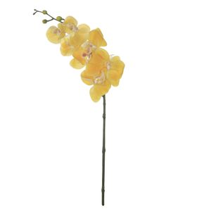 Orquídea Phalaenopsis com Coat X7 Amarelo 63cm