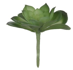 Suculenta Verde 9cm