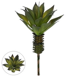 Agave Suculenta Verde 20cm
